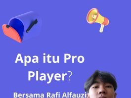ProPlayer