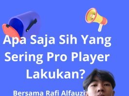 ProPlayer