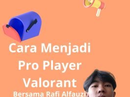 Pro Player Valorant