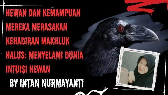 intan nurmayanti (13)
